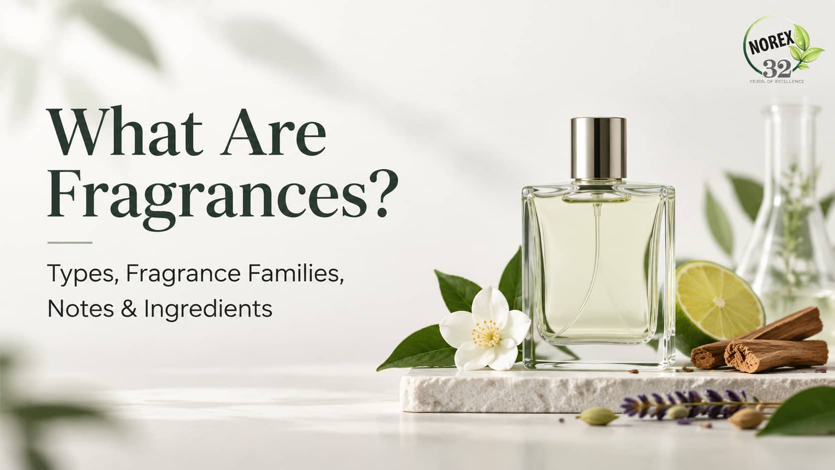 What Are Fragrances? Types, Fragrance Families, Notes & Ingredients