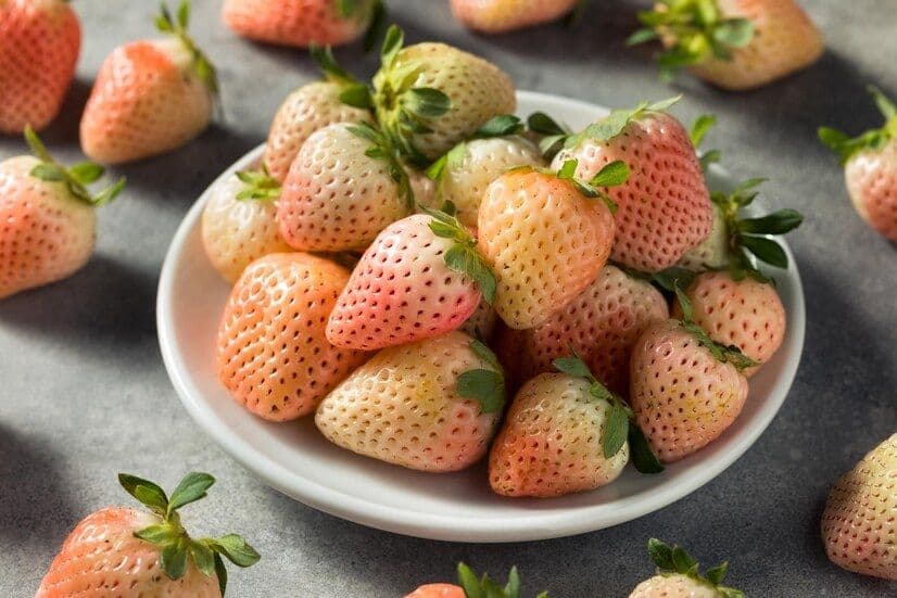 Pineberry