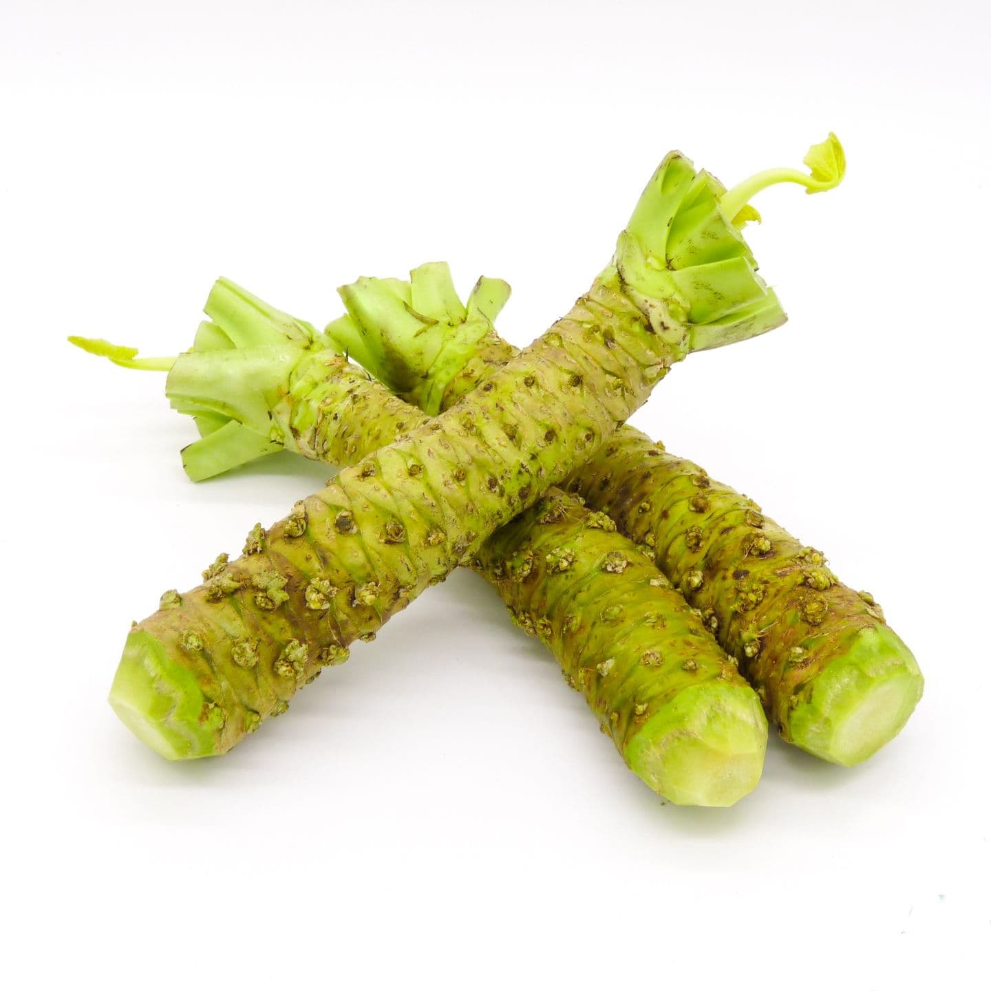 WASABI