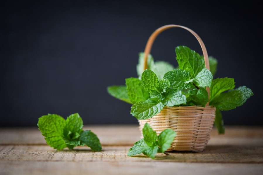 PEPPERMINT FLV