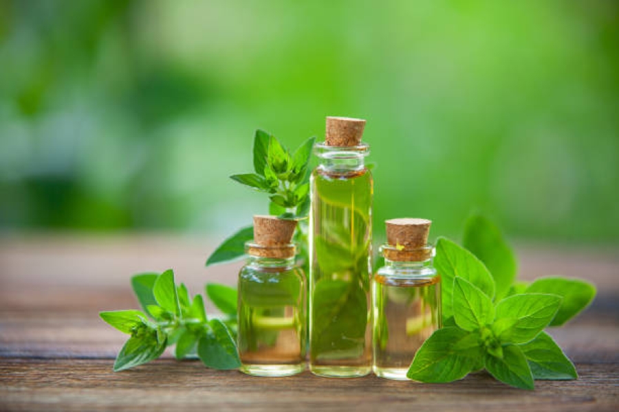 Oregano Oil