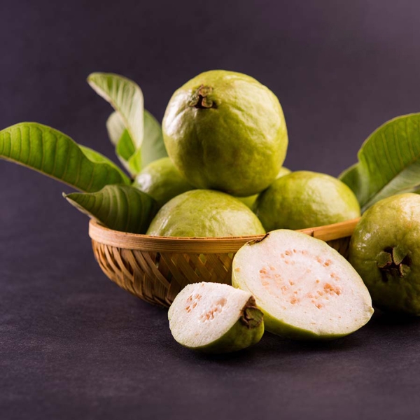 GUAVA