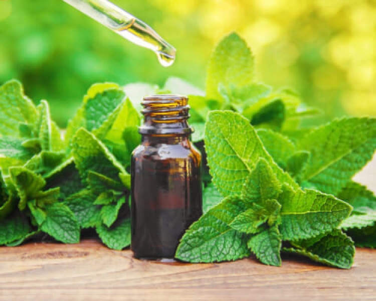 Mentha Arvensis Oil (Japanese Mint / Cornmint)