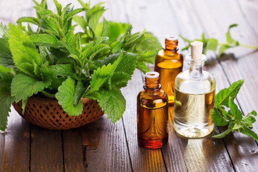 Spearmint Oil Indian